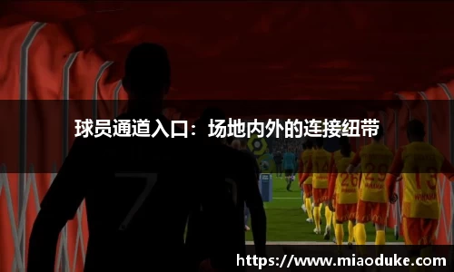 竞技宝JJB官方网站